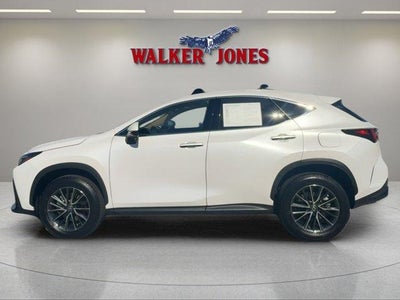 2025 Lexus NX NX 250 Premium