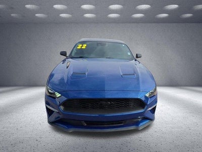 2022 Ford Mustang EcoBoost
